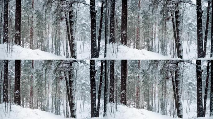 白色蓬松的雪花在一个神奇的圣诞之夜慢慢落下。