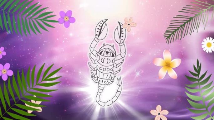 紫色背景上的天蝎座星星标志在花朵和叶子上的动画