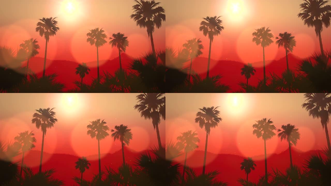 夏季热带景观，棕榈树和红色日落