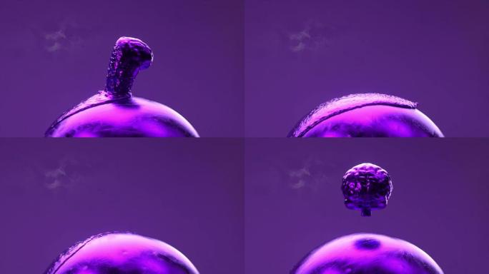 金属大脑变成液体，并在金属旋转球体上扩散。蓝紫色霓虹色。3d动画