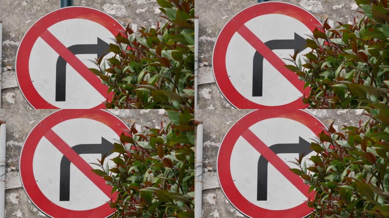 禁止右转标志。红色圆圈形式的路标，右侧有一个交叉箭头。灌木的绿色嫩叶。春日。克罗地亚，罗维尼，202