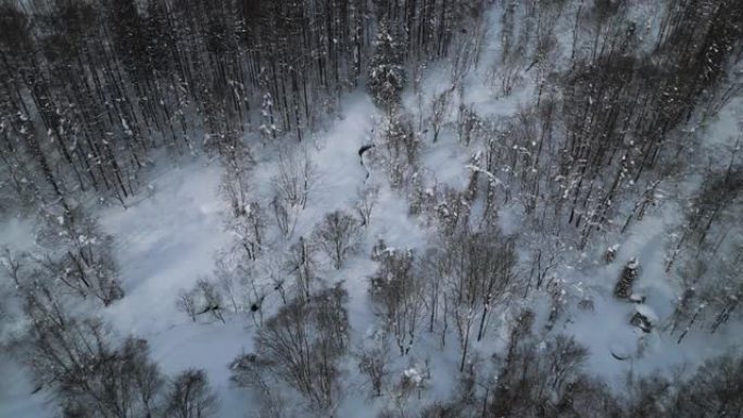 雪林鸟瞰图北国风光鸟瞰景色