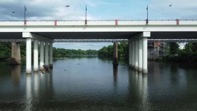 当多只鸟飞越以昆虫为食的卡托巴河时，空中撤离高速公路立交桥