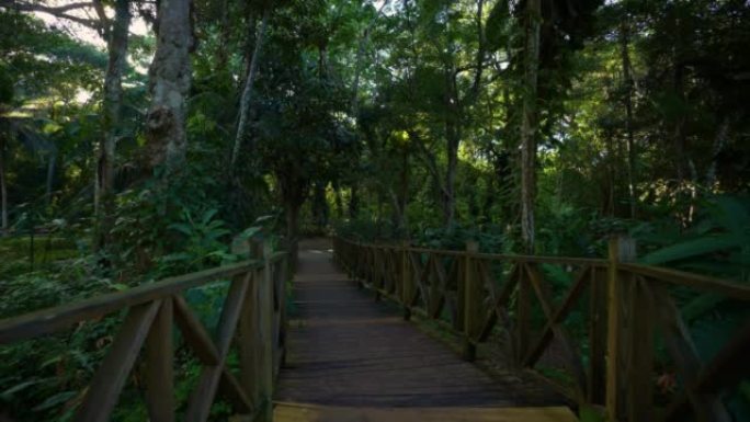 邓恩瀑布公园。牙买加的木桥，Ocho Rios海岸，|宁静花园。