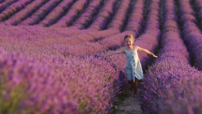 穿着夏装的快乐小女孩感到自由自在，独自穿过一片巨大的薰衣草田野