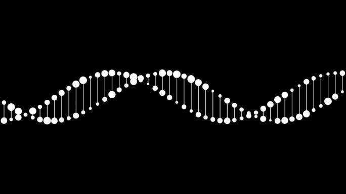 DNA光点连线动态无缝循环