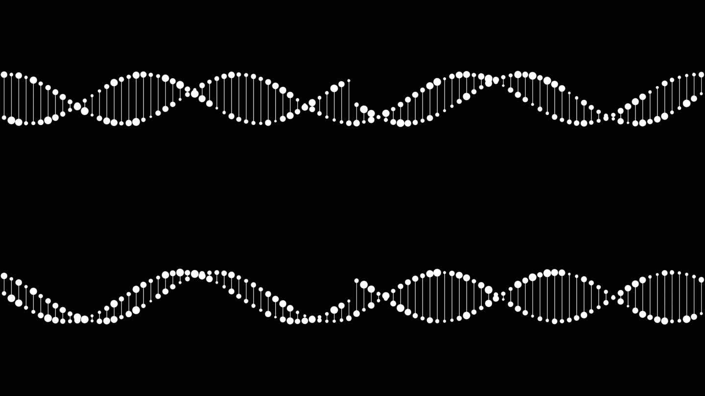 DNA光点连线动态无缝循环