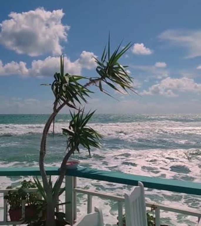 在海浪和蓝天的背景下，桌子旁摆着摇曳的植物，桌子旁摆着白色椅子