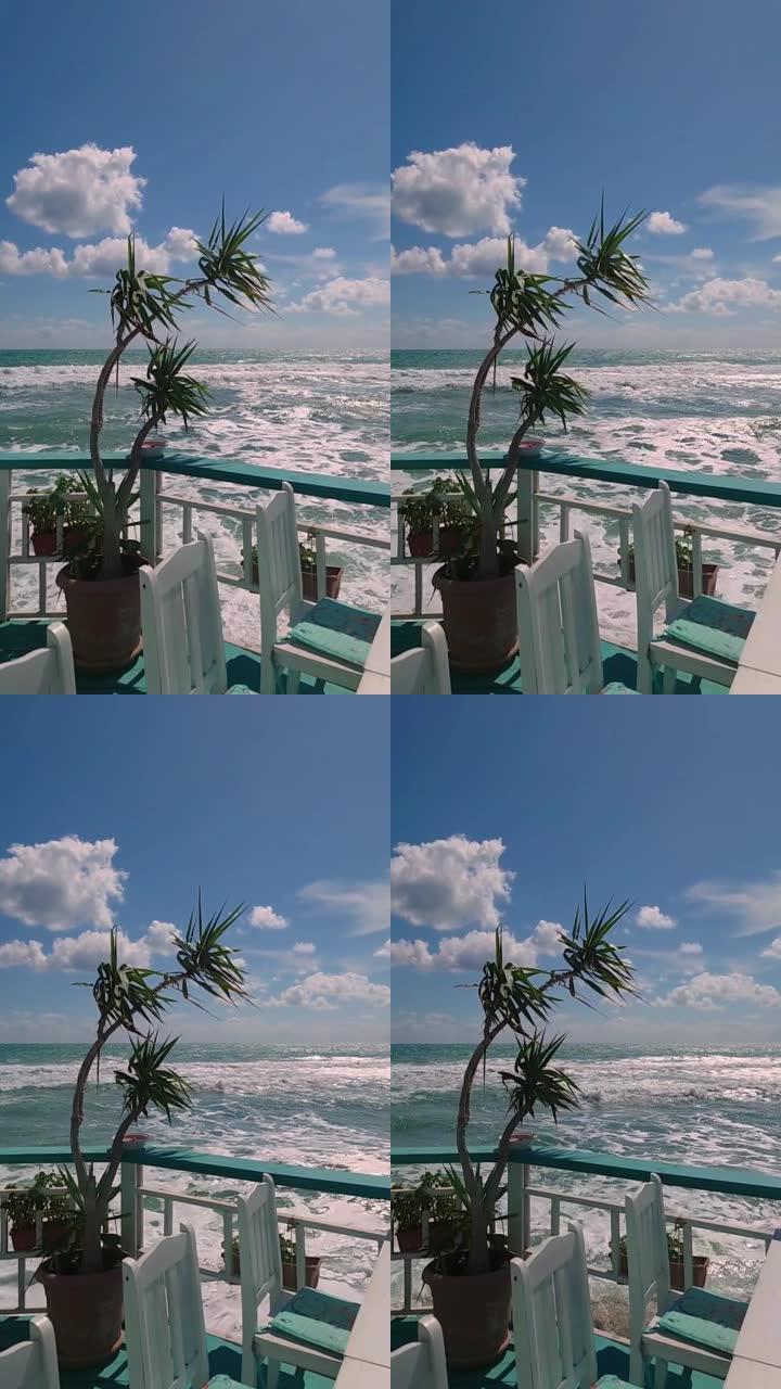 在海浪和蓝天的背景下，桌子旁摆着摇曳的植物，桌子旁摆着白色椅子