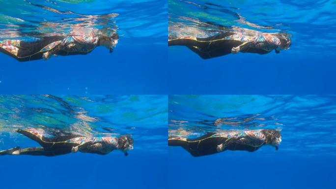 女人在潜水设备上游泳在蓝色的水面上，看着海洋生物。女性浮潜者在水下游泳，看着海底世界 (4k-60f