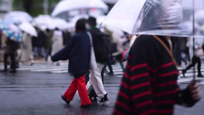 涩谷雨天在十字路口散焦步行的人的慢动作