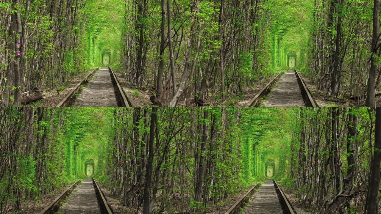 爱的隧道，绿树和铁路
