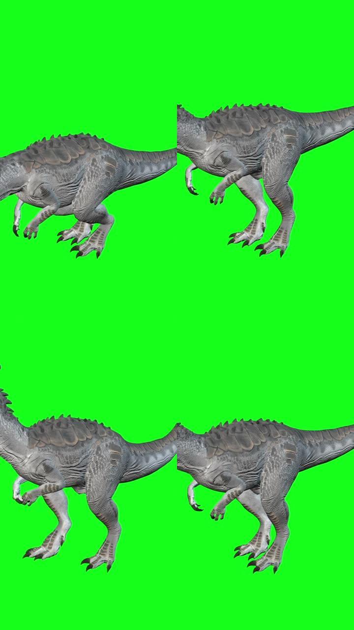 垂直视频动画-在绿屏背景上行走的异特龙。恐龙世界