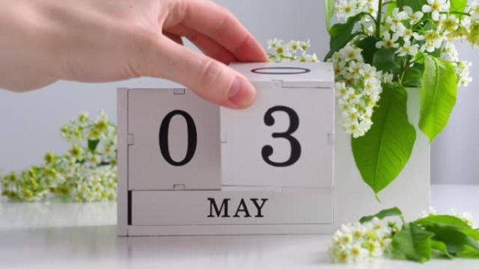 春季5月3日女人的手翻过一个立方历法。樱花盛开的桌子上的白色万年历。在一个月内更改日期。假日日。日历