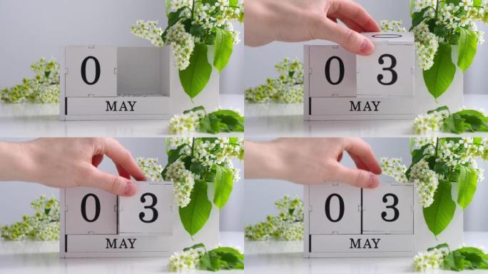 春季5月3日女人的手翻过一个立方历法。樱花盛开的桌子上的白色万年历。在一个月内更改日期。假日日。日历