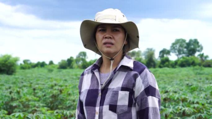一个戴着帽子的女人站在木薯田里。