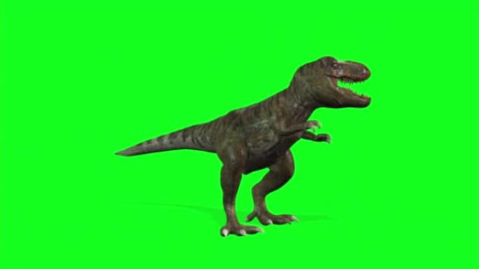 4k动画-绿色屏幕背景上行走的恐龙