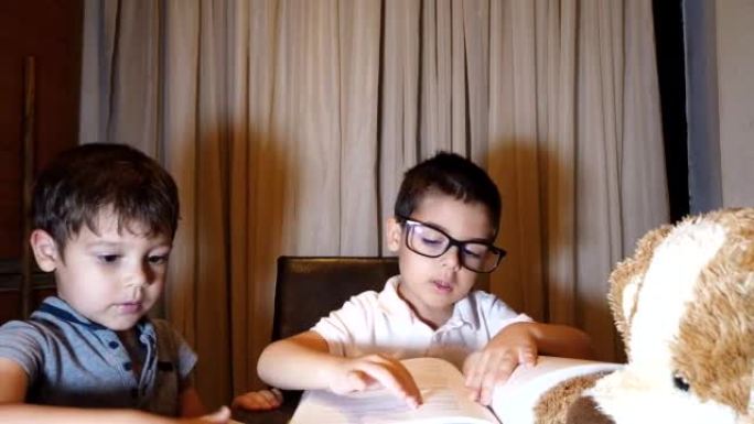 可爱的孩子男孩和他的兄弟一起读书