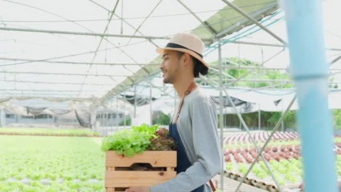 亚洲年轻的男性农民在蔬菜水培农场工作。有吸引力的农业学家在温室里寻找和检查绿色橡树的质量。农业经营理