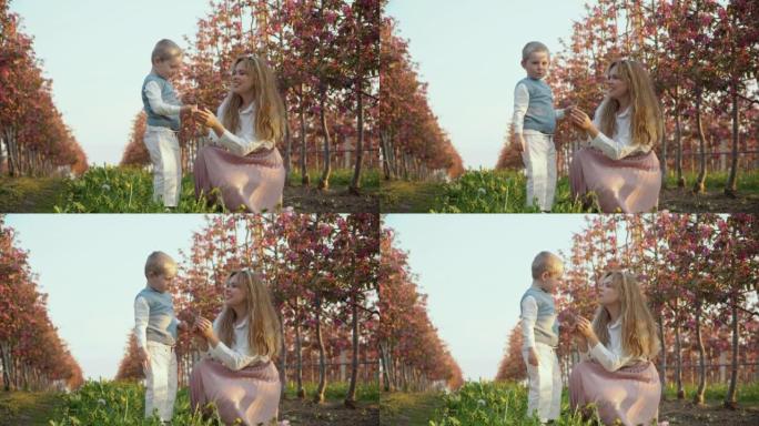 妈妈和儿子在接吻。一个小绅士。一个年幼的儿子给他的母亲一朵野花，并在花园里的粉红色小树附近的街道上亲