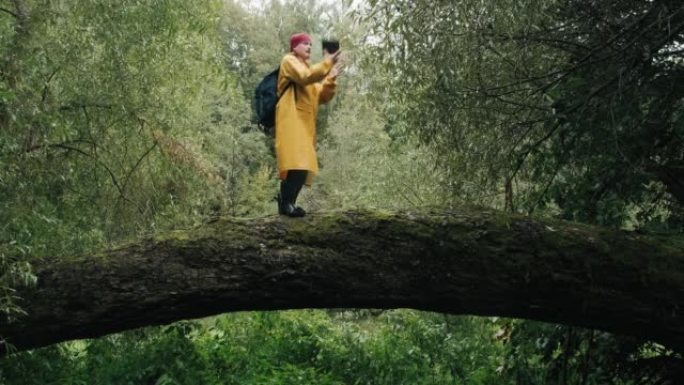 男子游客爬上树，从手机上的通讯塔捕捉信号