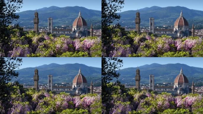 著名的圣玛丽亚大教堂、乔托的钟楼和佛罗伦萨市政厅宫殿的美丽景色，前景是盛开的紫藤。意大利