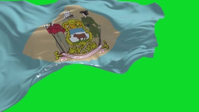 特拉华州的州旗在风中飘扬，背景是绿色的