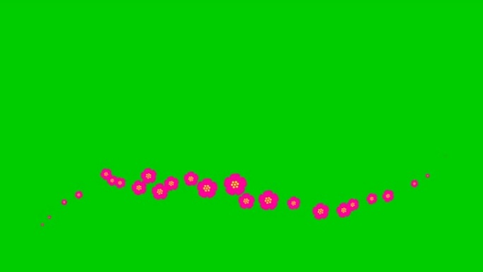动画洋红色美丽的花朵从左到右飞行。循环视频。春天的概念。绿底飘扬的樱花。