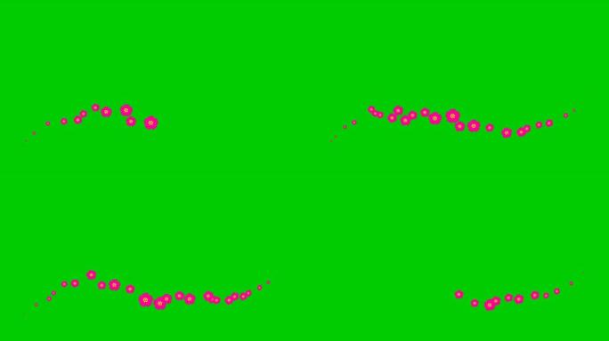 动画洋红色美丽的花朵从左到右飞行。循环视频。春天的概念。绿底飘扬的樱花。