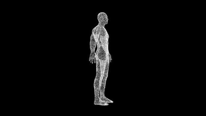 3D人体在黑色背景上旋转。物体溶解的白色闪烁粒子60 FPS。科学概念。标题、演示文稿的抽象bg。全