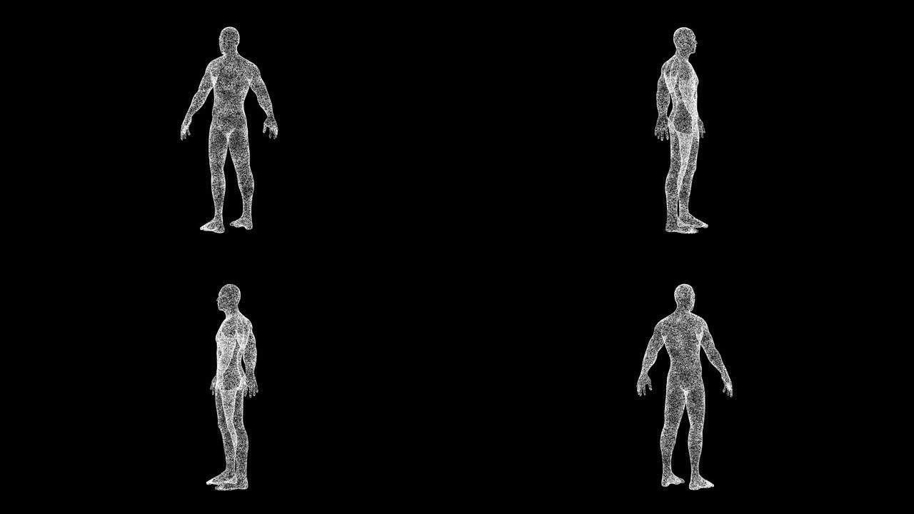 3D人体在黑色背景上旋转。物体溶解的白色闪烁粒子60 FPS。科学概念。标题、演示文稿的抽象bg。全