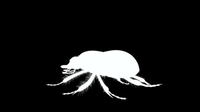 黑白侧视图粪甲虫循环动画素材