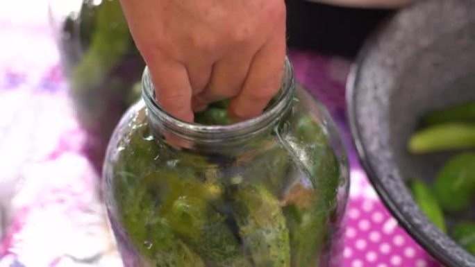 女人在家里用玻璃罐装黄瓜过冬。蔬菜罐头。生态产品。