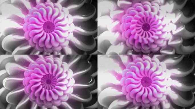 抽象粉红色和银色分形花，花瓣移动。动。美丽催眠渐变花缓慢转化，无缝循环。
