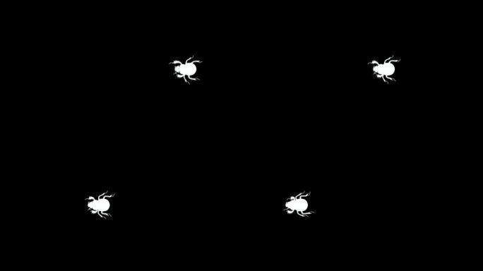 黑白顶视图粪甲虫动画素材