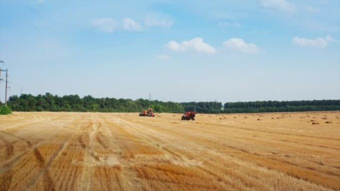 用农业技术种植小麦。在农田里采摘干草捆的拖拉机。绿树背景。