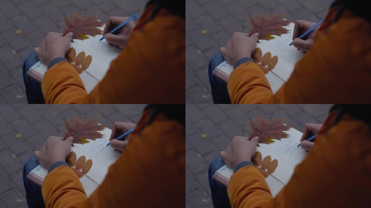 坐在秋天公园长凳上的女人的双手。她用钢笔写公式，用黄色橡树叶作为书签，关闭笔记本。-9月