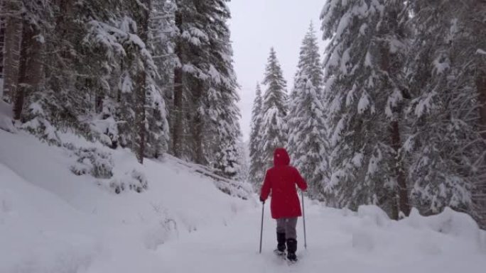 在高山冬季森林中，单身女子雪鞋行走