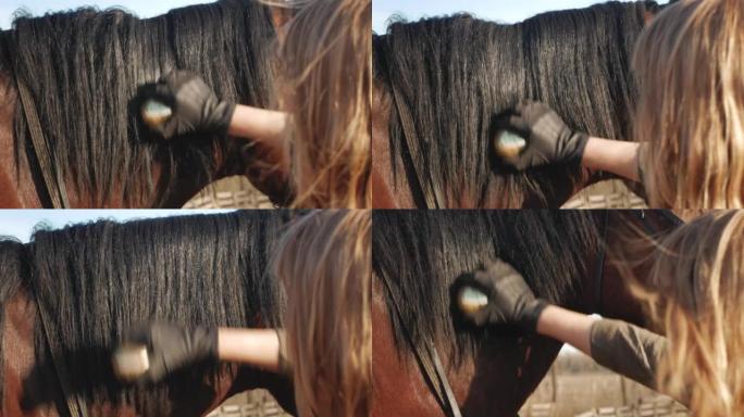 女人梳马的鬃毛。骑马的准备。