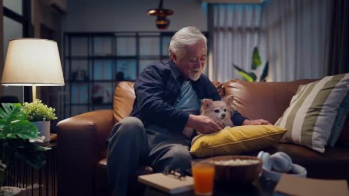 老年老年亚洲男性退休人士喜欢和他最好的朋友奇瓦瓦狗在客厅的沙发上玩耍，亚洲老人和他的狗一起看电视夜晚