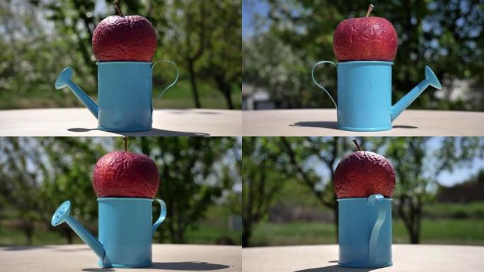 相机平移到躺在木制桌子上的蓝色喷壶中的一个li行的苹果上。摄像机在移动。360度弧跟踪。