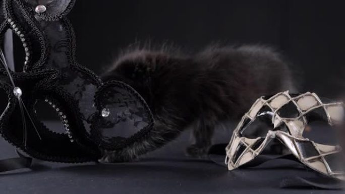 威尼斯狂欢节的标志是像丑角一样的格子面具。意大利的假面舞会狂欢节。黑色小猫和嘉年华面具。
