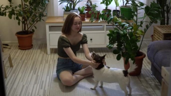 年轻女子在客厅里和她的狗玩耍。现代生活方式、人和青年观念。