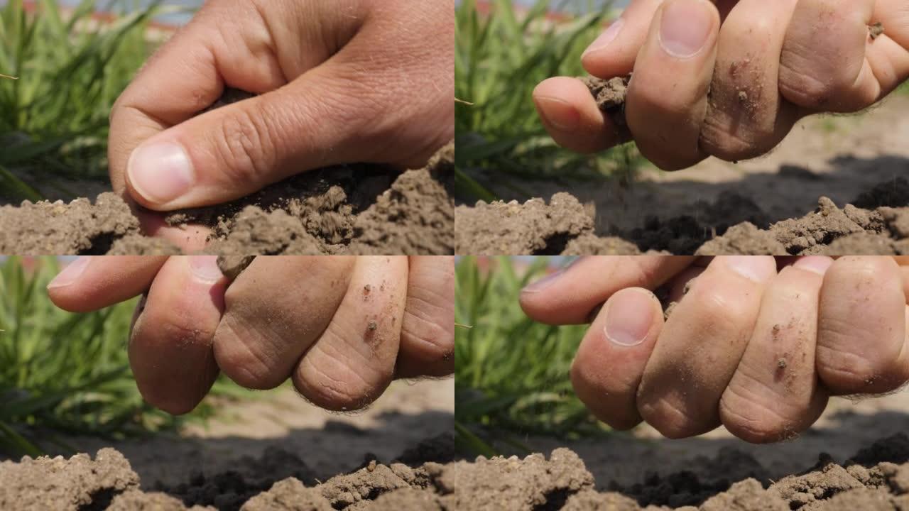 人手握堆肥，有机土壤，天然肥料。天然有机土壤农业。农民在田间手工测试有机土壤。农民手握住并倒回干燥的