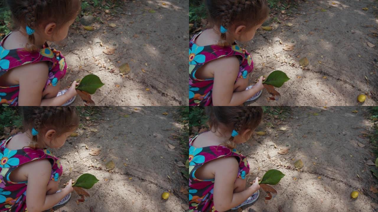 蹒跚学步的女孩看着蚂蚁在地上奔跑，穿过森林中的人行道