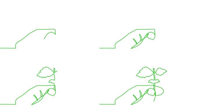 手工剪影。连续一条绿线在白色背景上绘制人类手中的生长树。自画动画。手绘开花植物。简单的设计，艺术。增