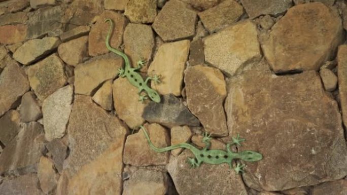 4k乡间别墅中带有图案假蜥蜴的石墙特写