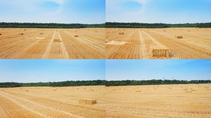 干燥的麦田，上面留有干草。谷物收获季节后，农田上空的无人机镜头。