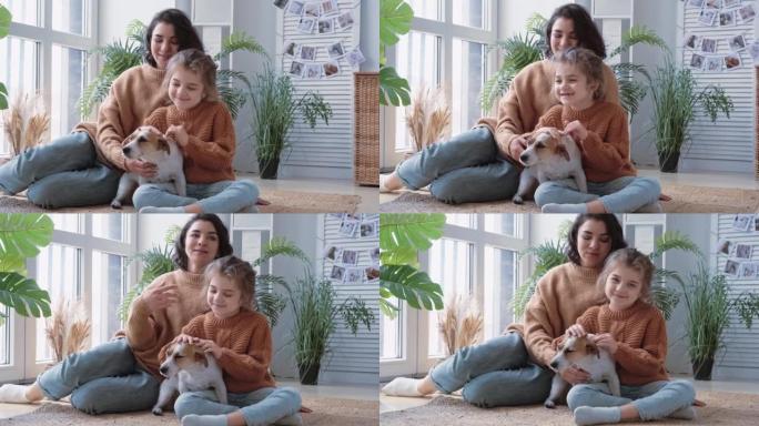 年轻的母女毛衣和狗杰克·罗素坐在地毯上，可爱地交流和对抗