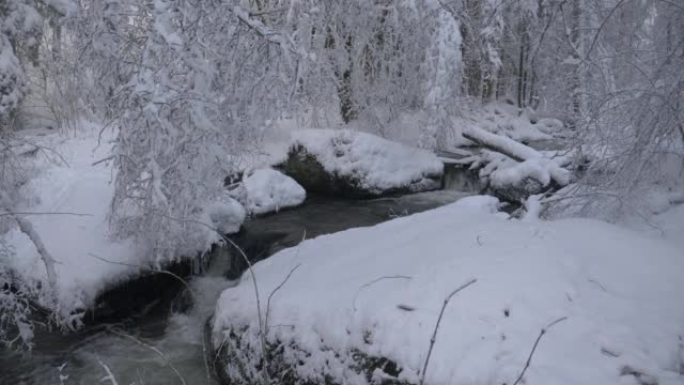 溪流在冬季森林中流动